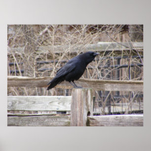 Poster Appel du croisement 1