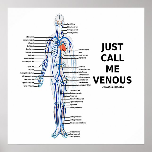Poster Appelez-Moi Venous Veins Système Vénus (Devant)