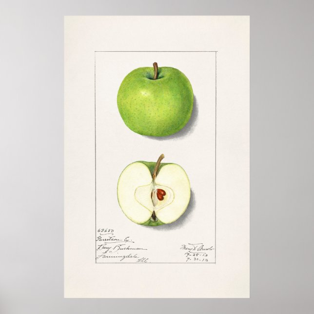 Poster Apple (Devant)