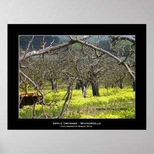 Poster "Apple Orchard - Watsonville"