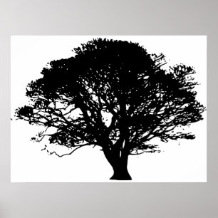 Poster Apple Tree Silhouette