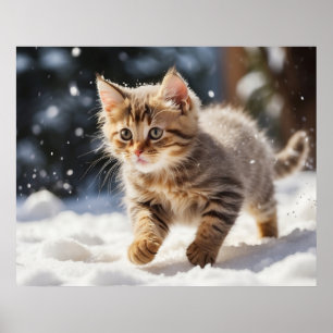 Poster *~* Apprendre sur le Kitty de neige 5:4 Kitten Cat