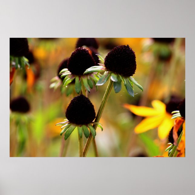 Poster Approches d'automne (Devant)