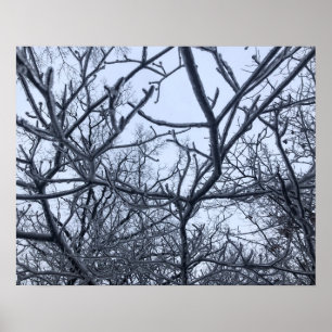 Poster Après La Tempête De Glace