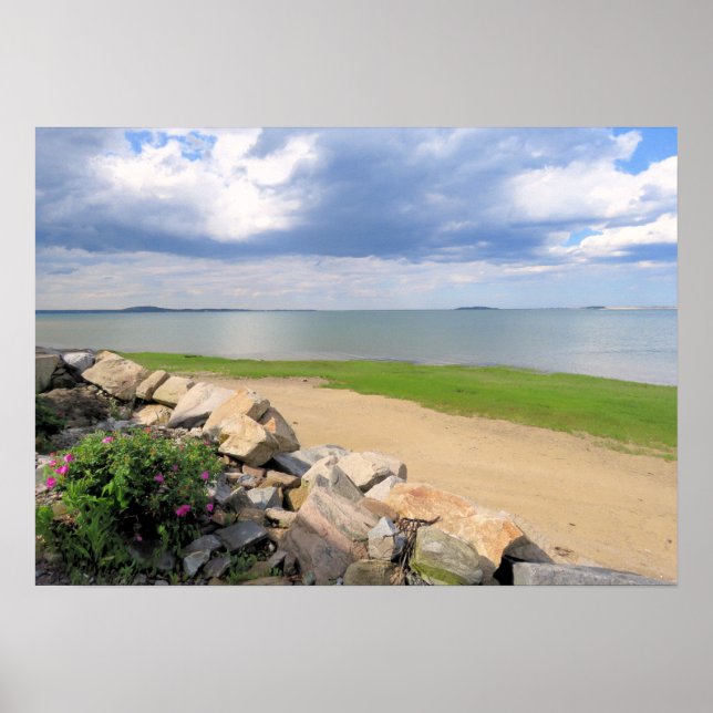 Poster Après la tempête de pluie - imprimer (Devant)