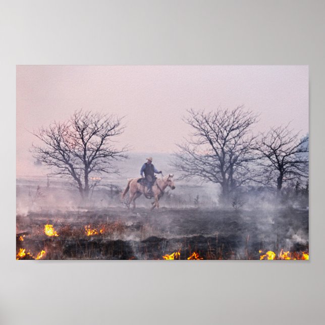 Poster Après le feu des Prairies, Flint Hills, Kansas (Devant)