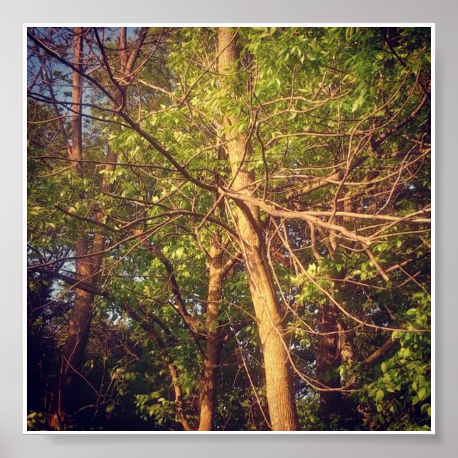 Poster Après-midi (Devant)