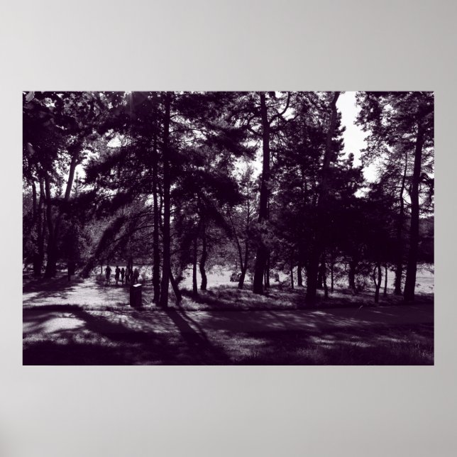 Poster Après-midi dans le parc (Toné violet) (Devant)