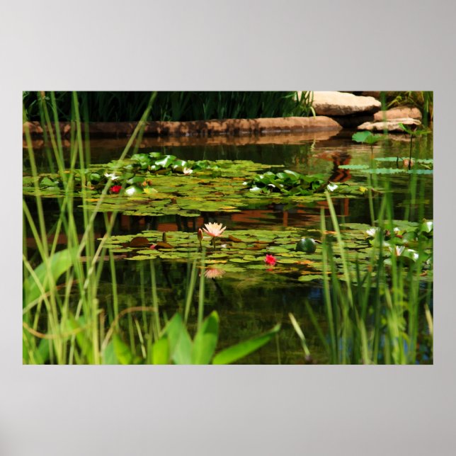 Poster Après-midi idyllique (Devant)