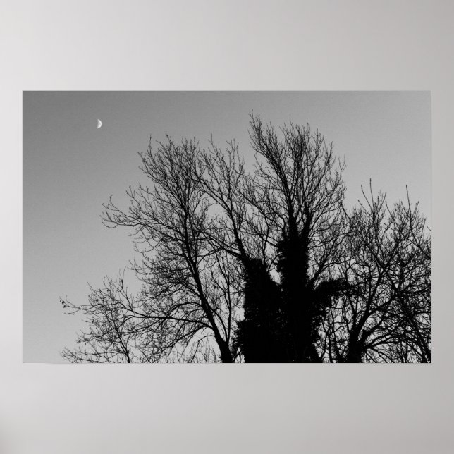 Poster Après-midi médiéval d'hiver (Devant)