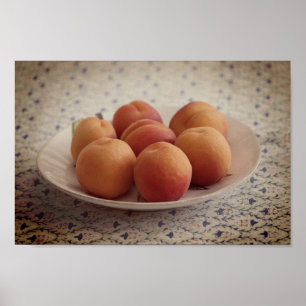 Poster Apricots sur plaque