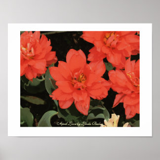 Poster April Love par Linda Becker