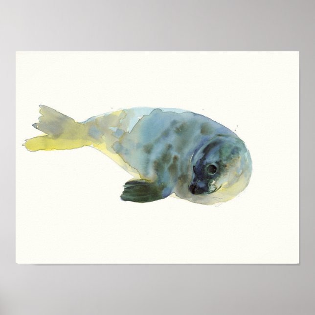 Poster Aqua Green (Devant)