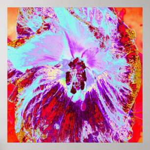 Poster Aqua tropicale Abstraite et fleur d'Hibiscus pourp