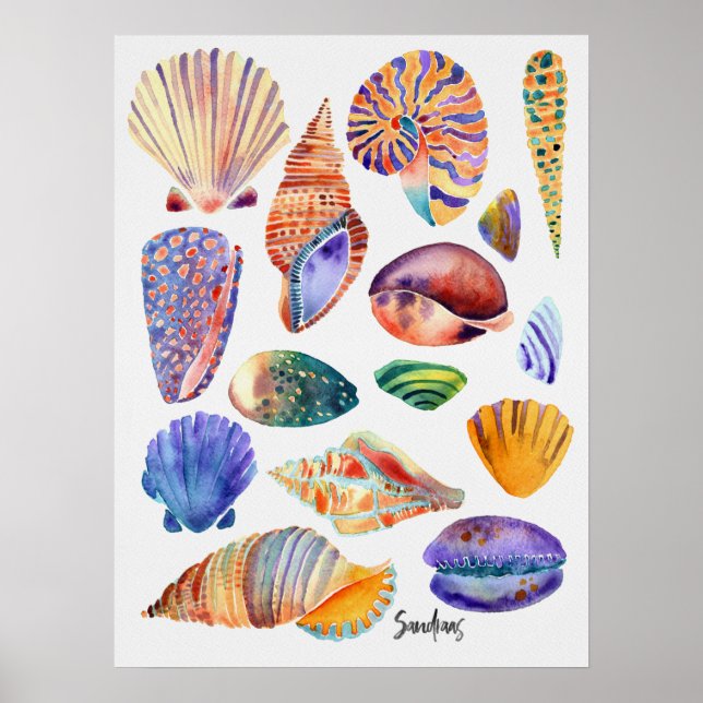 Poster Aquarelle (Devant)
