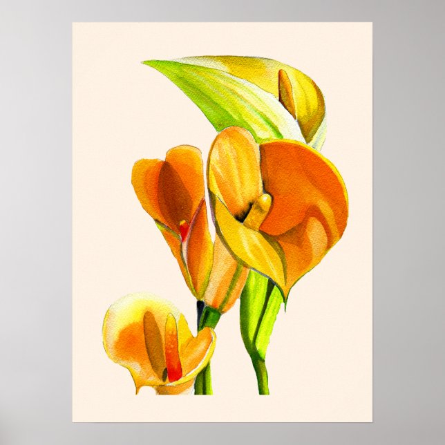 Poster Aquarelle à fleurs de calla (Devant)