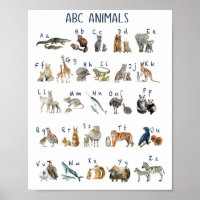 Aquarelle Abc Animaux
