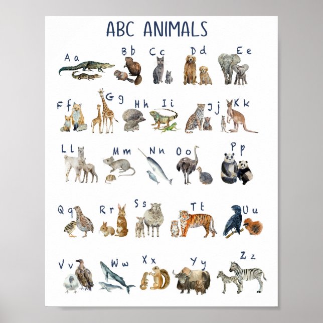 Poster Aquarelle Abc Animaux (Devant)