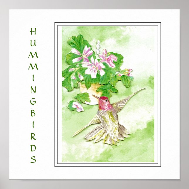 Poster Aquarelle Anna's Hummingbird -Bird Print (Devant)