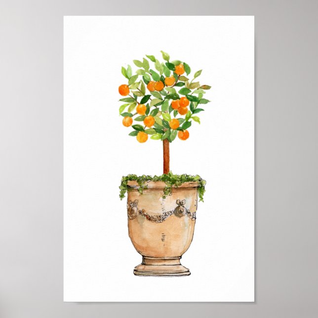 Poster Aquarelle Arbre orange topiaire en urne antique (Devant)