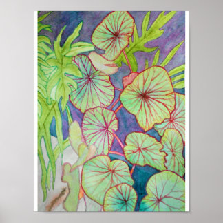 Poster Aquarelle Begonia et Philodendron