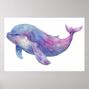 Poster Aquarelle Béluga