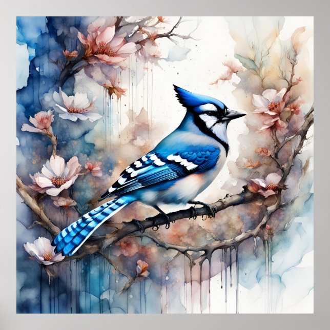 Poster Aquarelle bleu Jay Cherry Blossoms (Devant)