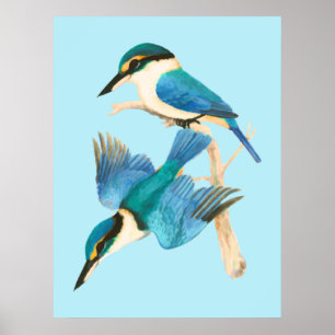 Poster Aquarelle bleue des oiseaux de pêche