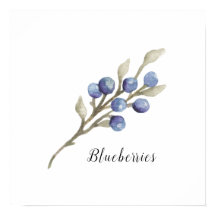 Aquarelle Blueberries Botanique