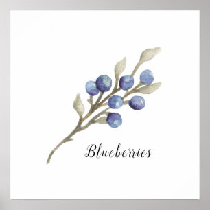 Poster Aquarelle Blueberries Botanique