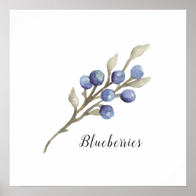 Poster Aquarelle Blueberries Botanique (Devant)