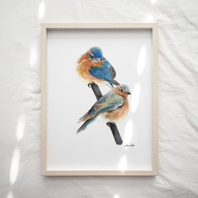 Poster Aquarelle Bluebird Couple Art Imprimer (Bluebird watercolor art print from Jennifer Steffen, Jenn's Emporium. )