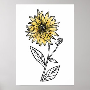 Poster Aquarelle botanique esthétique ligne art tournesol