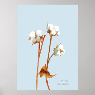 Poster Aquarelle botanique Plante de coton