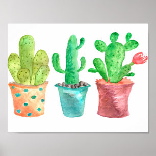Poster Aquarelle Cactus