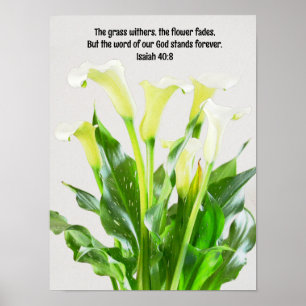 Poster Aquarelle Calla Lily Fleurs Bible Verse Art
