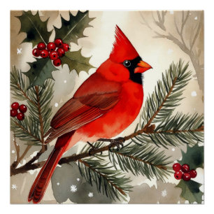 Poster Aquarelle Cardinal sur Branche de Pin enneigée Noë