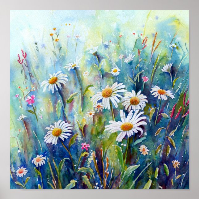 Poster Aquarelle - Champ de marguerite (Devant)