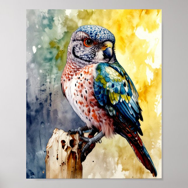 Poster Aquarelle couleur faucon (Devant)