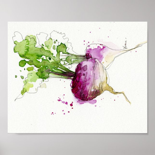 Poster Aquarelle Cuisine végétale art, Turnip (Devant)