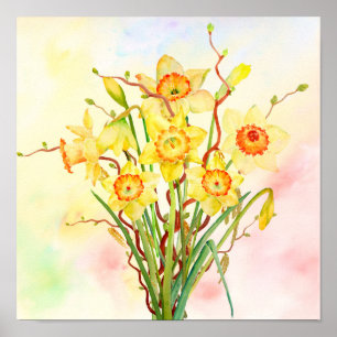 Poster Aquarelle Daffodiles Jaunes Fleurs de printemps