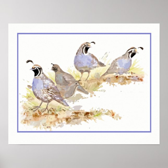 Poster Aquarelle de Californie Oiseaux de caille (Devant)