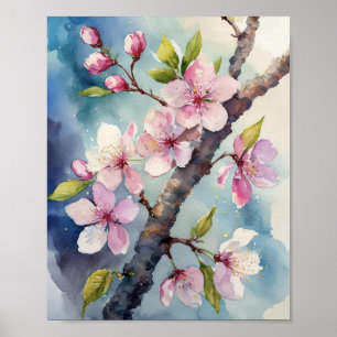 Poster Aquarelle de cerisier en fleurs Sakura