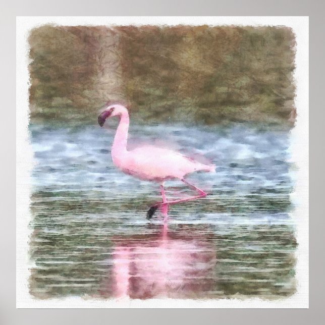 Poster Aquarelle de Flamant rose inférieure (Devant)