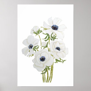 Poster aquarelle de fleur d'anémone blanc