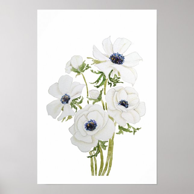 Poster aquarelle de fleur d'anémone blanc (Devant)