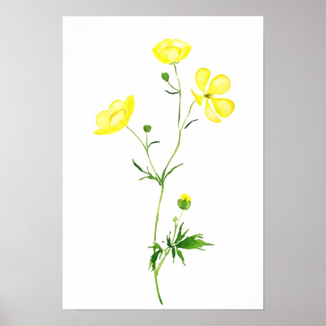 Poster aquarelle de fleur de butte jaune (Devant)