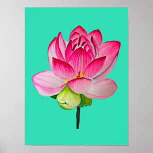 Poster Aquarelle de fleur de lotte rose art