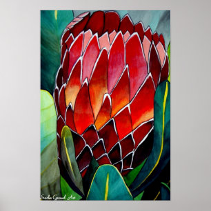 Poster Aquarelle de fleur de Protea peinture art original