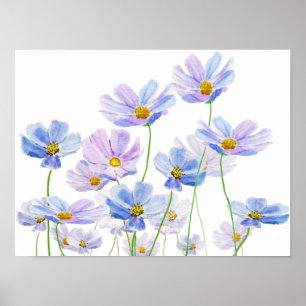 Poster aquarelle de fleurs cosmos pourpre et bleu